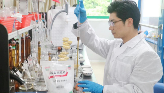 白云山板藍(lán)根顆粒